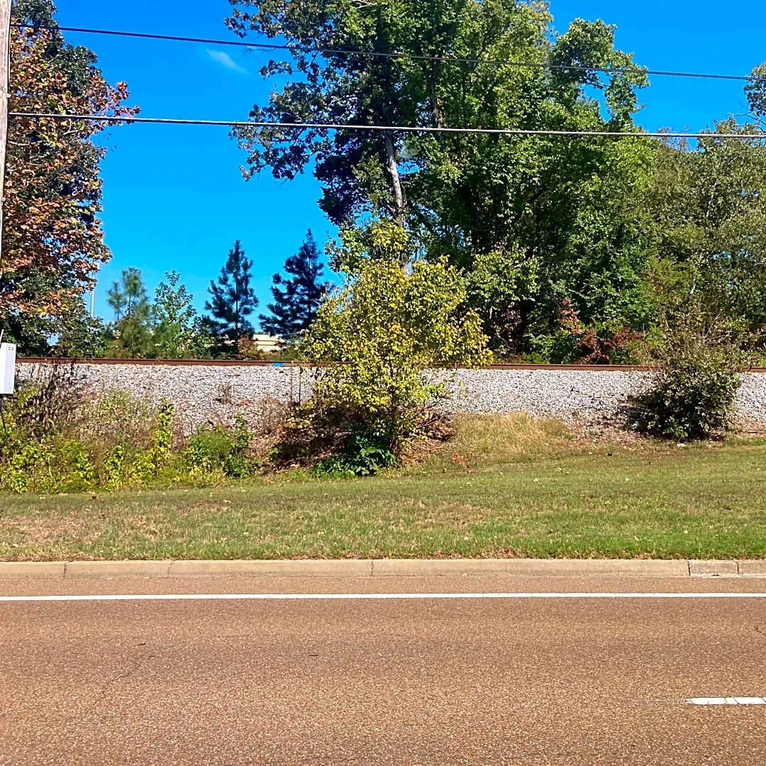 What's that planned on Poplar Avenue in Germantown?