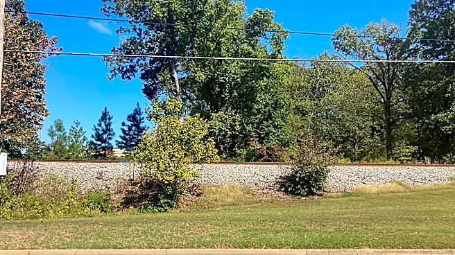 What's that planned on Poplar Avenue in Germantown?