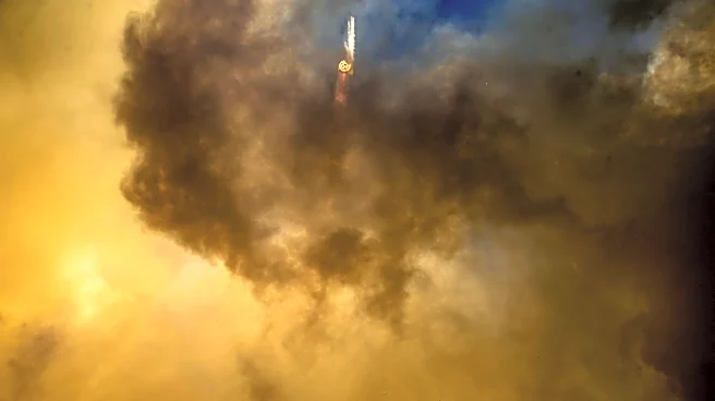 After Starship survived its Texas launch intact, SpaceX wants to get it