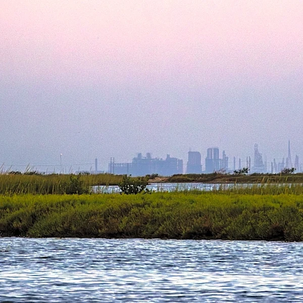 Water for our bays or our lawns? We can choose both | Opinion