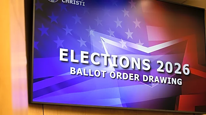 Candidate seeking district office will be write-in for at-large race