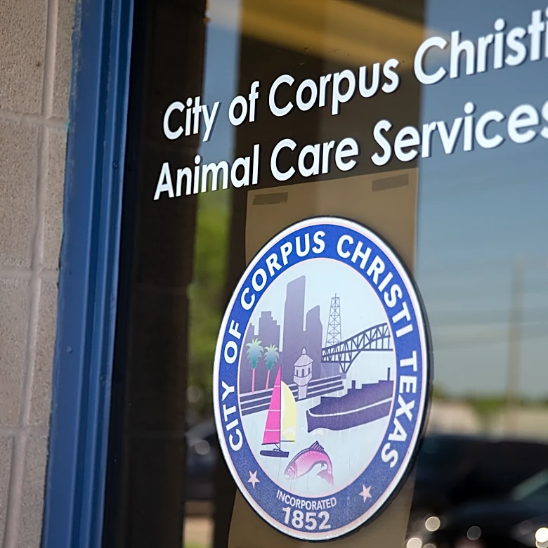 Director of Animal Care Services resigns; nationwide search underway