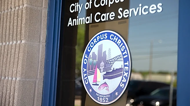 Director of Animal Care Services resigns; nationwide search underway