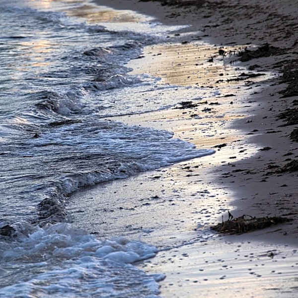 Corpus Christi's Inner Harbor desalination project again struck down