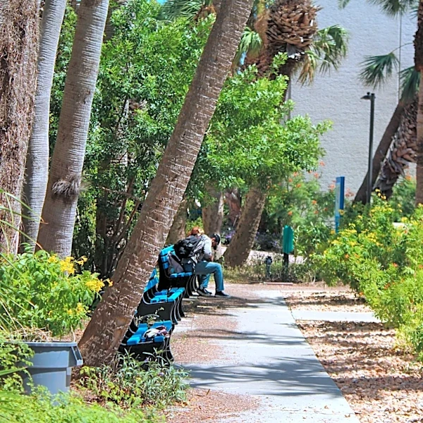 Classes removed from core curricula at A&M-Corpus Christi, Kingsville