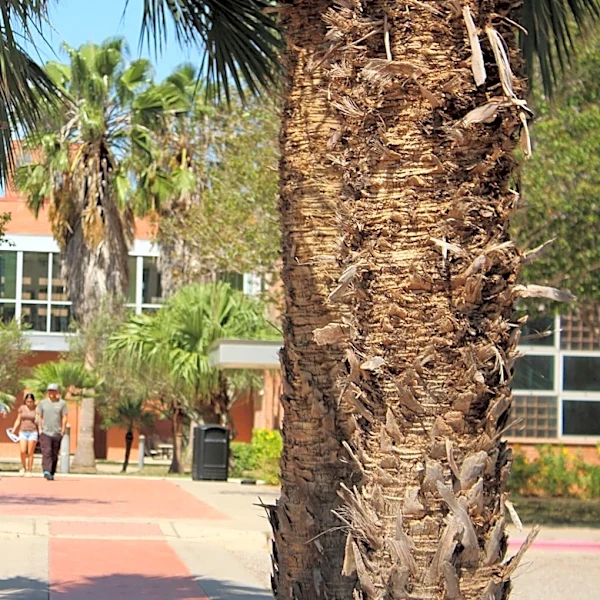 New metal fabricator degree planned by Del Mar College