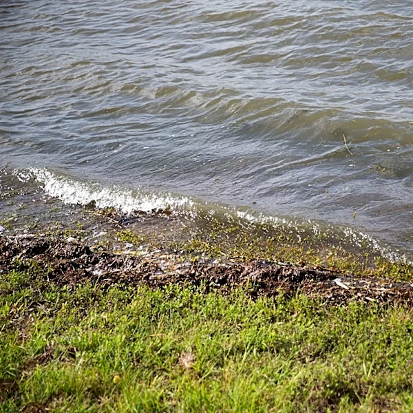 Pause on water releases from Lake Corpus Christi allowed to continue