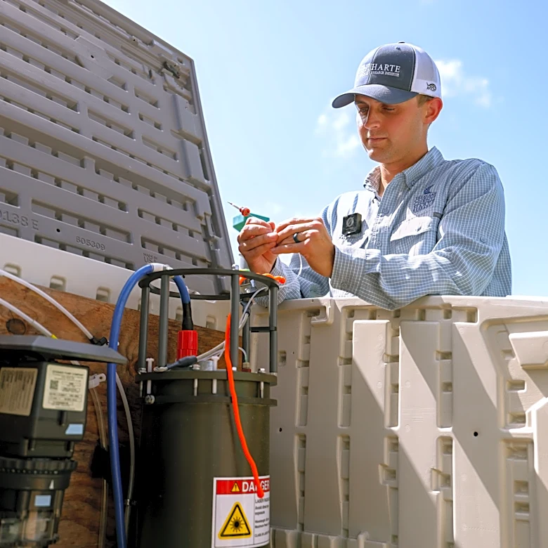 How Corpus Christi experts watch for red tide spread, fish kills