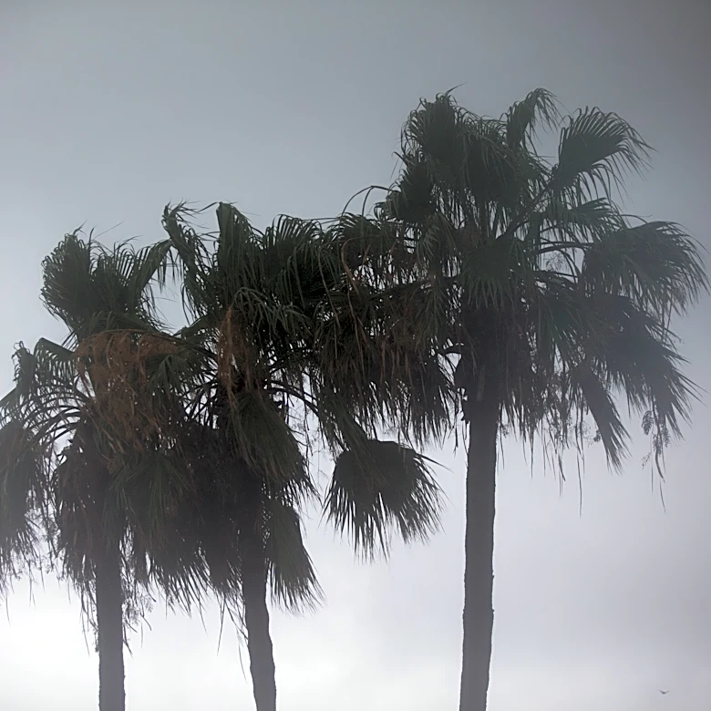 Heavy rainfall, flash flooding could hit Coastal Bend on Oct. 1