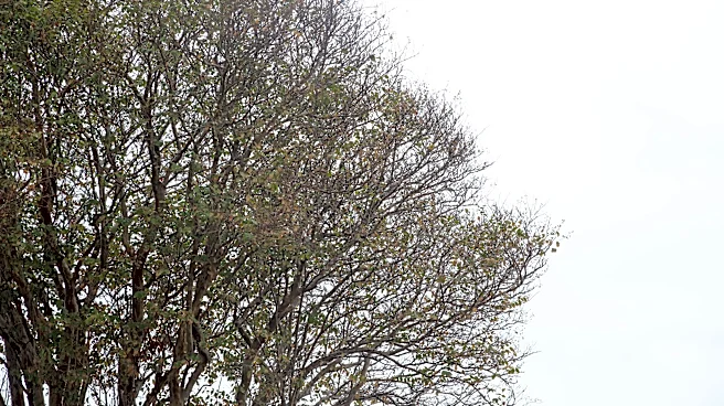 Rain is here to stay through weekend in Corpus Christi. Here's how much