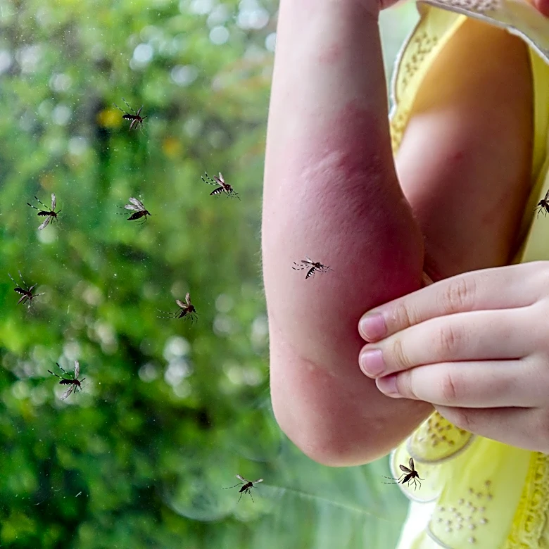 West Nile virus detected in Robstown, Nueces County says