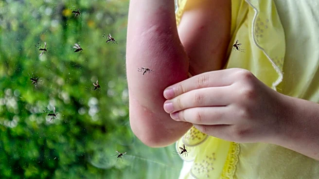 West Nile virus detected in Robstown, Nueces County says