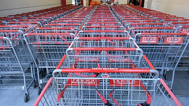 The 15 Best Drinks To Buy At Costco This Summer 2026