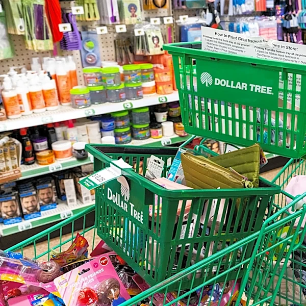 This Dollar Tree Must-Have Will Keep Your Frozen Groceries Cold This Summer