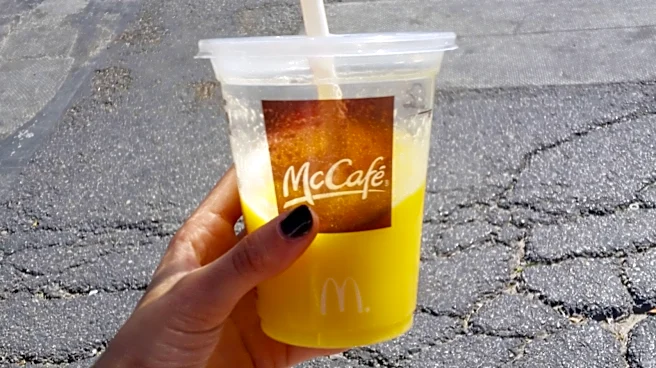 McDonald's Smoothies Are Made With Real Fruit, But There's A Catch
