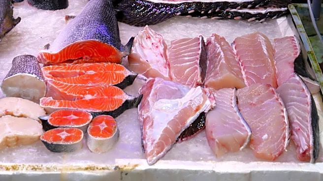 Not Tuna, Not Salmon: This Fish Adds The Most Omega-3 To Your Diet
