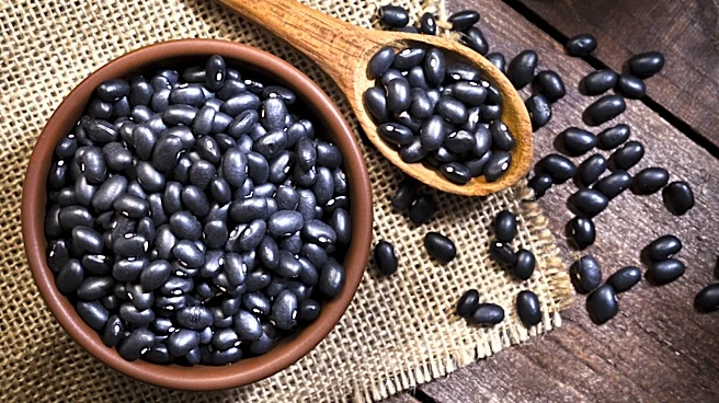 5 Foods That Have More Fiber Than Black Beans