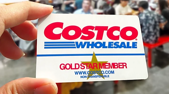 This New Frozen Dessert At Costco Comes With A Laundry List Of Ingredients