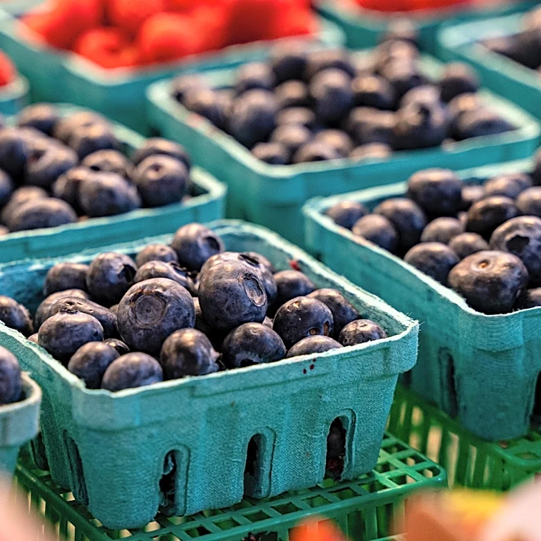 The Blueberry Myth You Need To Stop Believing At The Grocery Store
