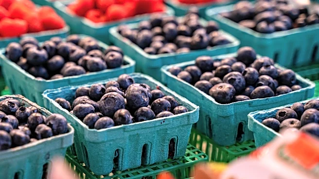 The Blueberry Myth You Need To Stop Believing At The Grocery Store