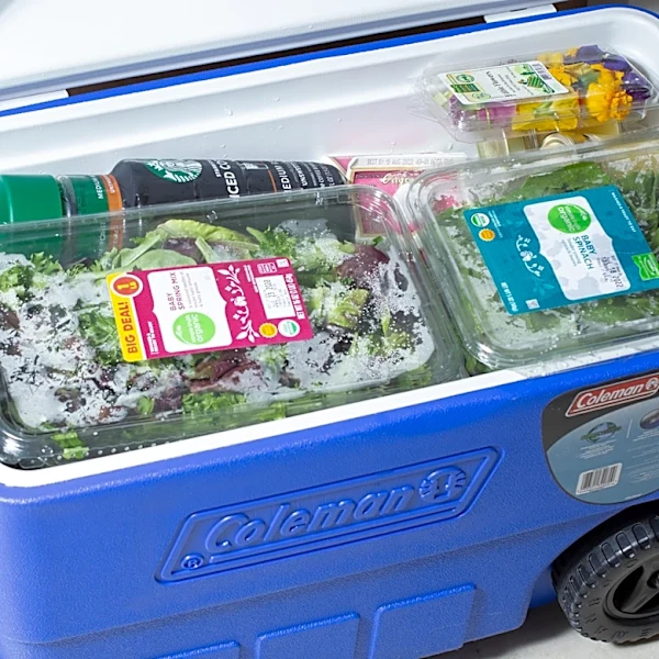 12 Highest-Rated Wheeled Coolers Under $100 On Amazon