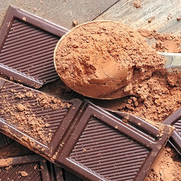 The Dark Chocolate Brand We Think Tastes Like Dirt