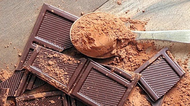 The Dark Chocolate Brand We Think Tastes Like Dirt