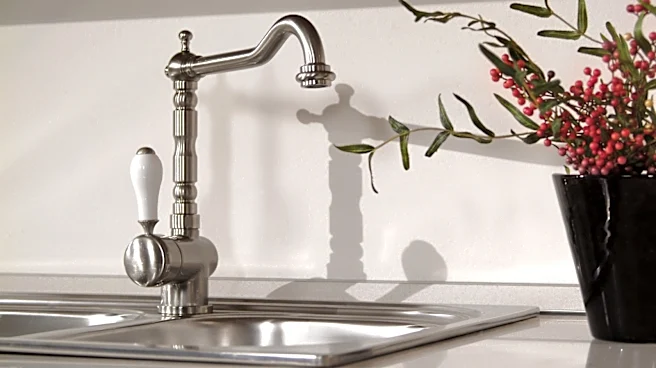8 Budget-Friendly Kitchen Faucets That Will Update Your Space
