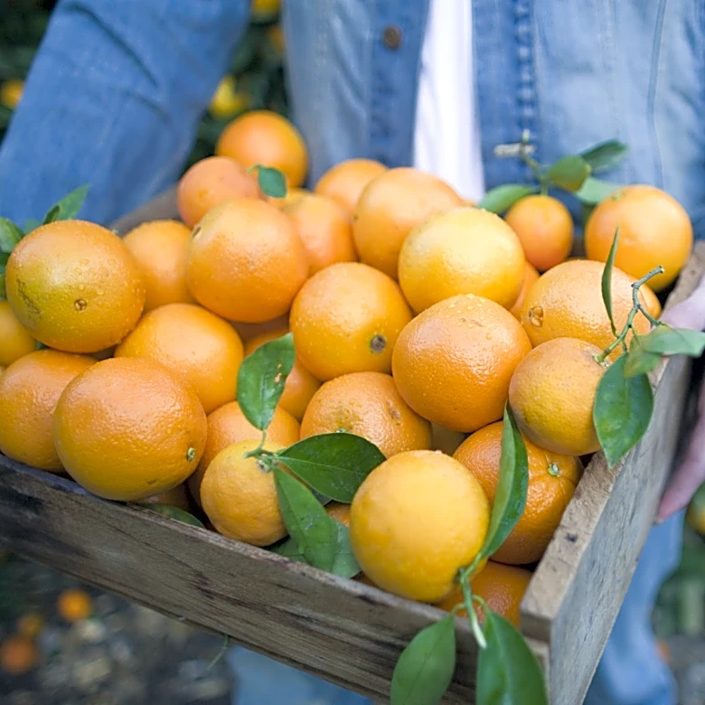4 Foods That Have More Vitamin C Than Oranges