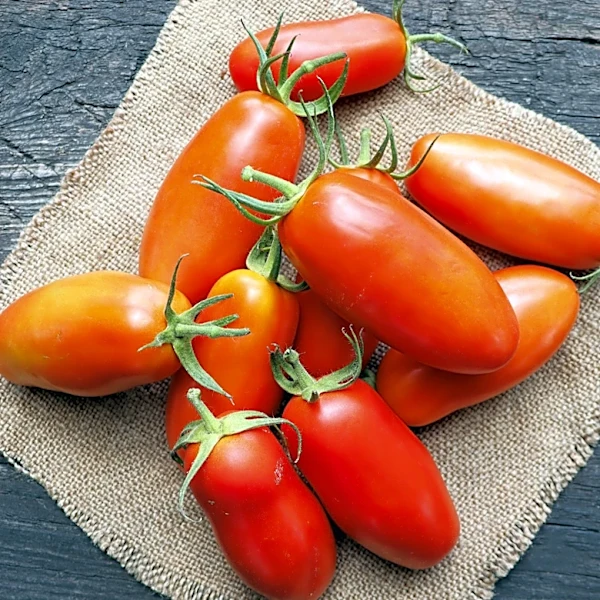 How To Pick The Best, Juiciest Tomatoes At The Grocery Store