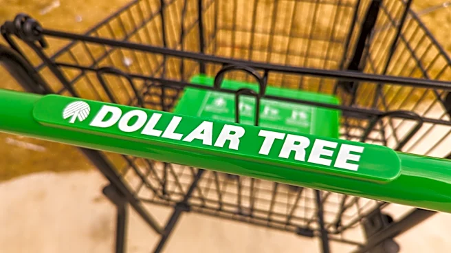 The Absolute Best Days And Times To Shop At Dollar Tree