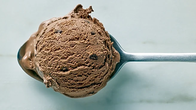11 Store-Bought Chocolate Ice Creams Under $5 To Score This Summer