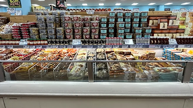 The 5 Best Trader Joe's Frozen Finds Of 2026 (So Far)