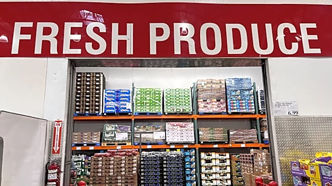 Where Does Costco Source Its Blueberries?