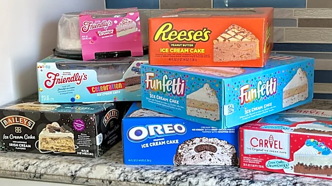 5 Store-Bought Ice Cream Cakes To Try And 2 To Skip
