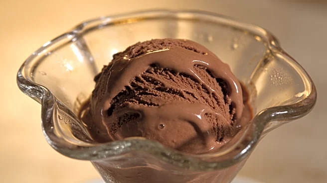 8 Store-Bought Chocolate Gelatos To Add To Your Cart
