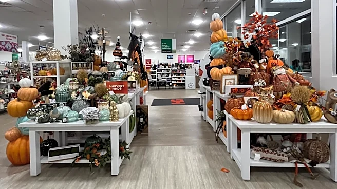 Say Hello To Fall With These 9 HomeGoods Kitchen Finds
