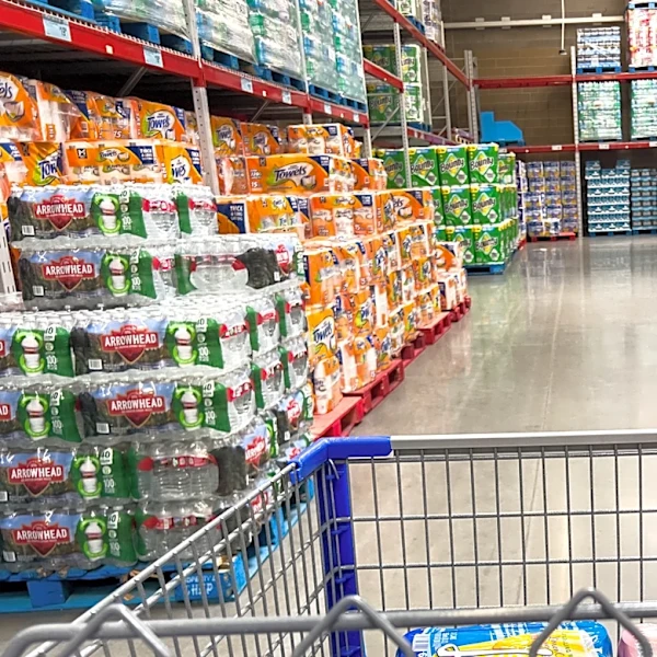 8 Best Ice Cream Flavors To Score At Sam's Club