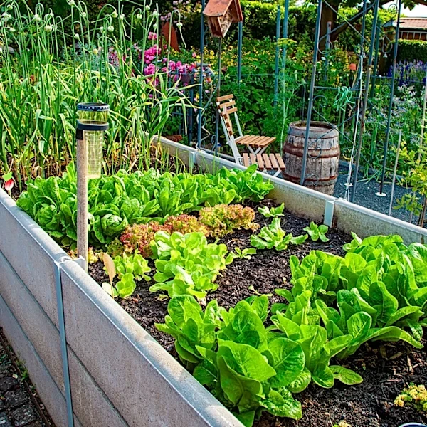 This Seasoning Does Wonders For Protecting Your Vegetable Garden
