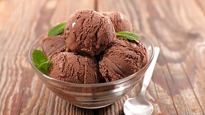 The 2 Best Grocery Brand Chocolate Ice Creams, Per Consumer Reports