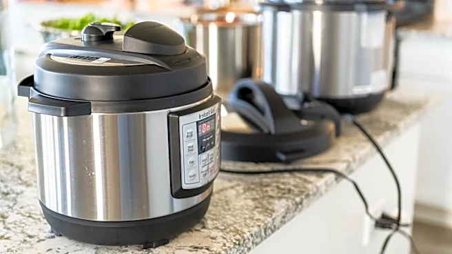 Instant Pot Vs Pressure Cooker: What's The Difference?