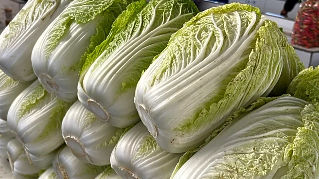 Spice Up Boring Cabbage And Add This Chinese-Style Condiment