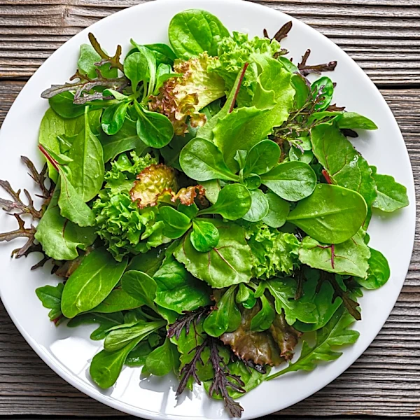Hydroponic Lettuce Vs Regular Lettuce: What's The Difference?