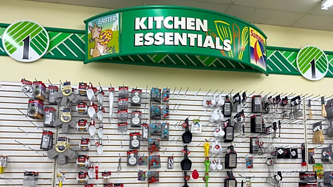 8 Dollar Tree Kitchen Must-Haves To Look For This Fall 2026