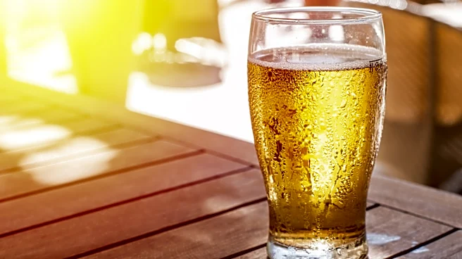 Customers Agree: These 10 Aldi Beers Are Worth Trying In 2026