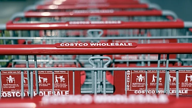 This Retro Mini Fridge From Costco Has Customers Divided