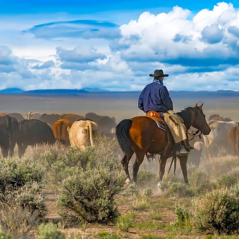 The Old-School Cracker Cowboys Used To Eat On The Trail