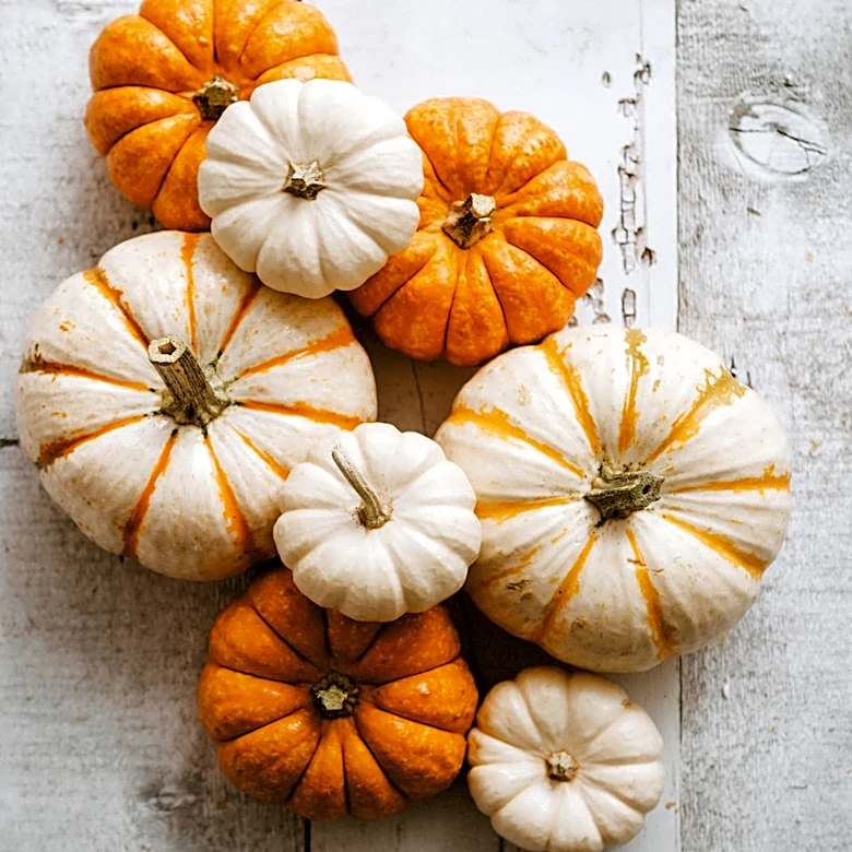 13 Aldi Pumpkin Products For Your Fall Shopping Trip