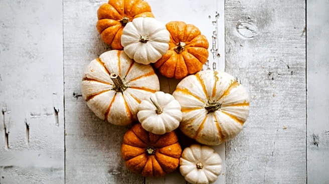 13 Aldi Pumpkin Products For Your Fall Shopping Trip