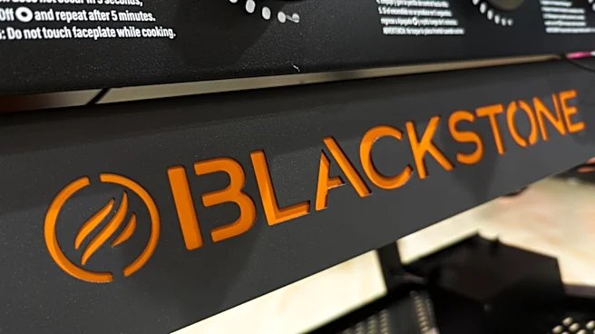 5 Disadvantages Of A Blackstone Griddle